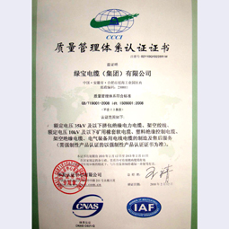 千亿体育网站(中国)科技有限公司集团质量体系认证